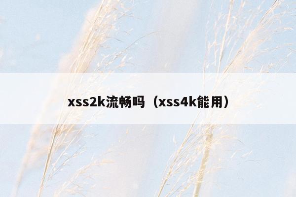 xss2k流畅吗（xss4k能用）