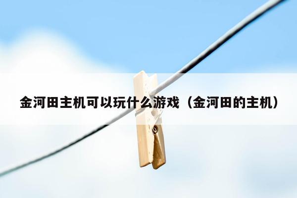 金河田主机可以玩什么游戏（金河田的主机）