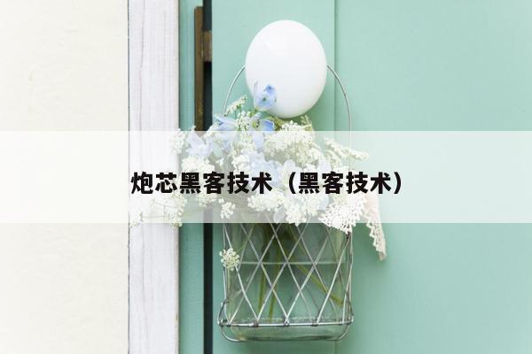 炮芯黑客技术（黑客技术）