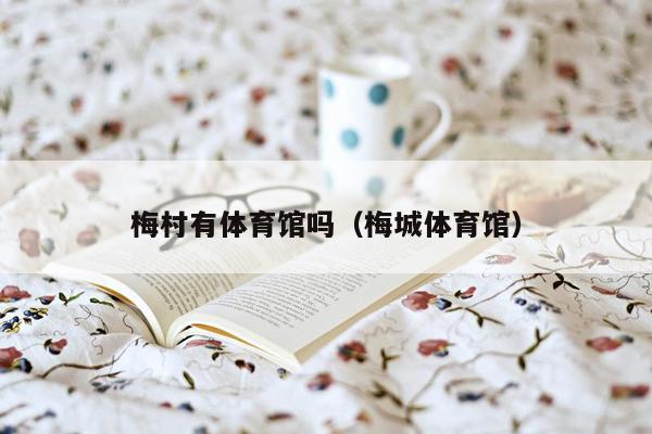 梅村有体育馆吗（梅城体育馆）