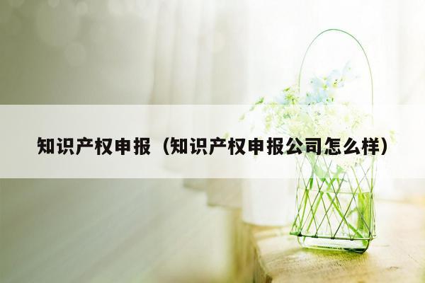 知识产权申报（知识产权申报公司怎么样）