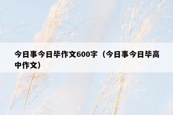 今日事今日毕作文600字（今日事今日毕高中作文）