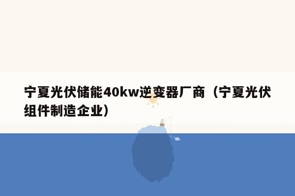 宁夏光伏储能40kw逆变器厂商（宁夏光伏组件制造企业）