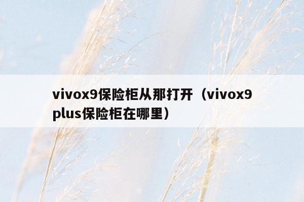 vivox9保险柜从那打开（vivox9plus保险柜在哪里）