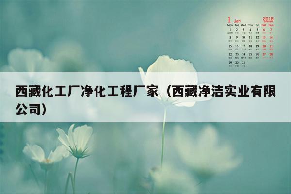 西藏化工厂净化工程厂家（西藏净洁实业有限公司）