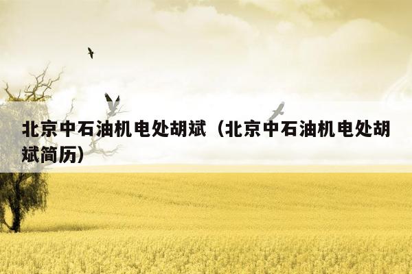 北京中石油机电处胡斌（北京中石油机电处胡斌简历）