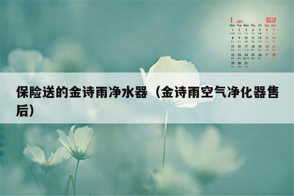保险送的金诗雨净水器（金诗雨空气净化器售后）