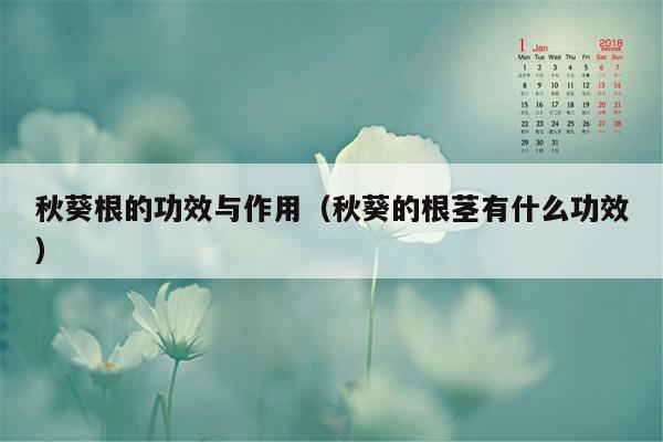 秋葵根的功效与作用（秋葵的根茎有什么功效）