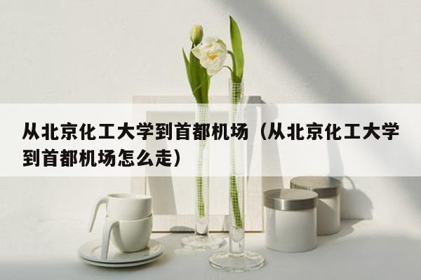 从北京化工大学到首都机场（从北京化工大学到首都机场怎么走）