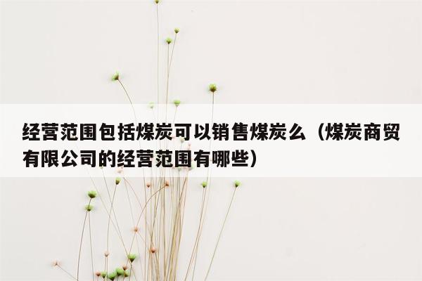 经营范围包括煤炭可以销售煤炭么（煤炭商贸有限公司的经营范围有哪些）