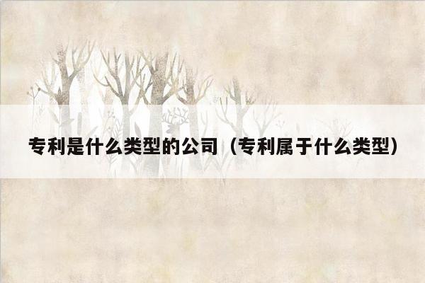 专利是什么类型的公司（专利属于什么类型）