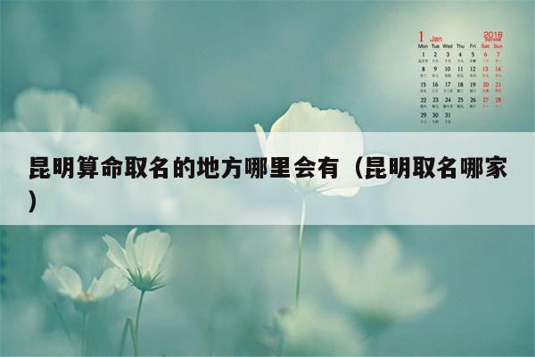 昆明算命取名的地方哪里会有（昆明取名哪家）