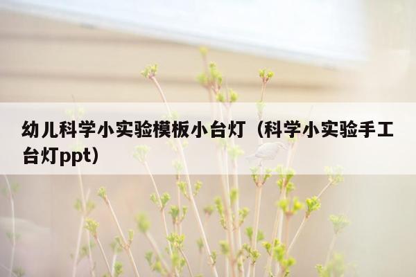 幼儿科学小实验模板小台灯（科学小实验手工台灯ppt）