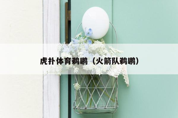 虎扑体育鹈鹕（火箭队鹈鹕）