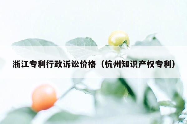 浙江专利行政诉讼价格（杭州知识产权专利）