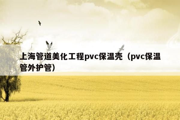 上海管道美化工程pvc保温壳（pvc保温管外护管）