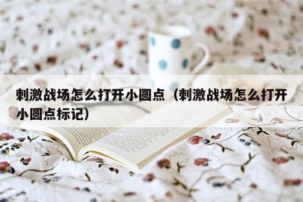 刺激战场怎么打开小圆点（刺激战场怎么打开小圆点标记）