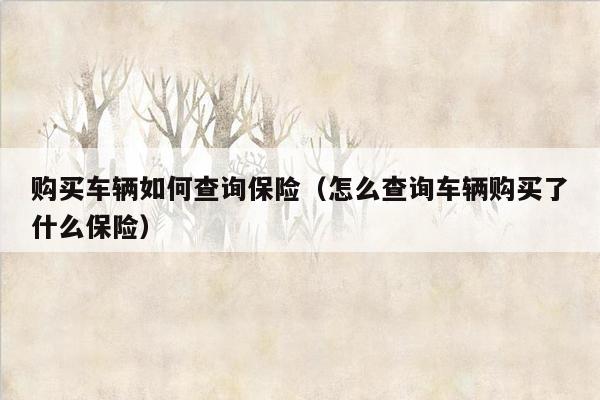 购买车辆如何查询保险（怎么查询车辆购买了什么保险）