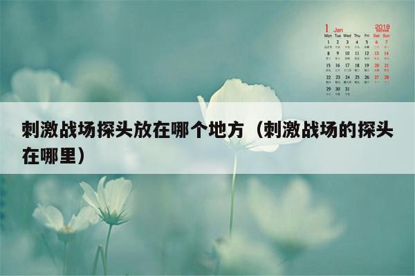 刺激战场探头放在哪个地方（刺激战场的探头在哪里）