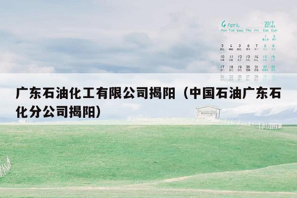 广东石油化工有限公司揭阳（中国石油广东石化分公司揭阳）