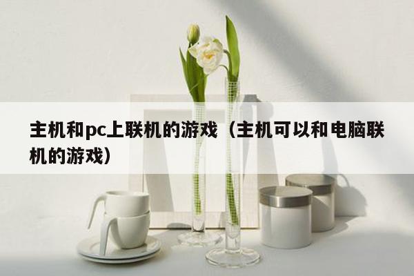 主机和pc上联机的游戏（主机可以和电脑联机的游戏）