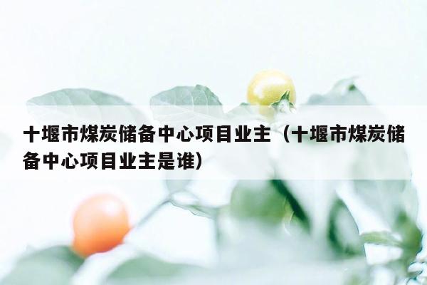 十堰市煤炭储备中心项目业主（十堰市煤炭储备中心项目业主是谁）