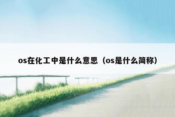 os在化工中是什么意思（os是什么简称）