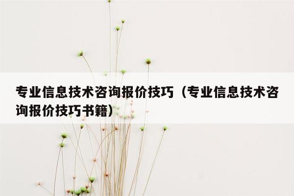 专业信息技术咨询报价技巧（专业信息技术咨询报价技巧书籍）