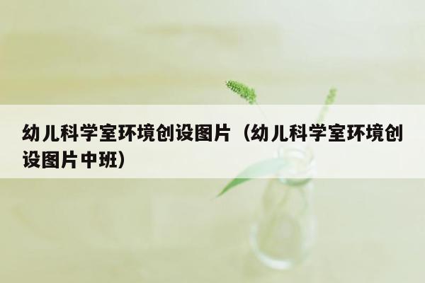 幼儿科学室环境创设图片（幼儿科学室环境创设图片中班）