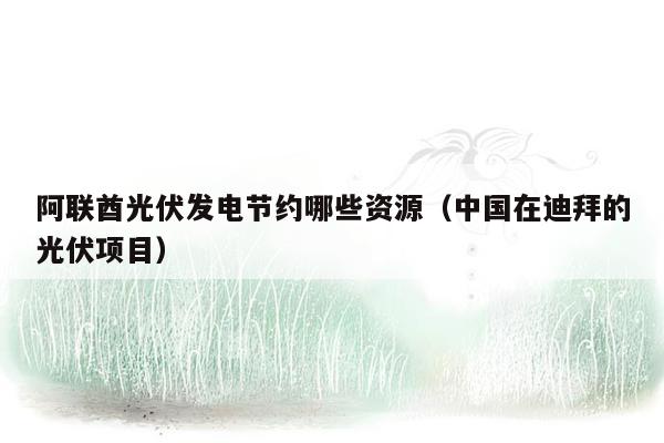 阿联酋光伏发电节约哪些资源（中国在迪拜的光伏项目）