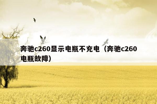 奔驰c260显示电瓶不充电（奔驰c260电瓶故障）