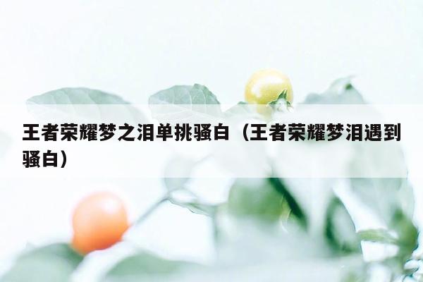 王者荣耀梦之泪单挑骚白（王者荣耀梦泪遇到骚白）