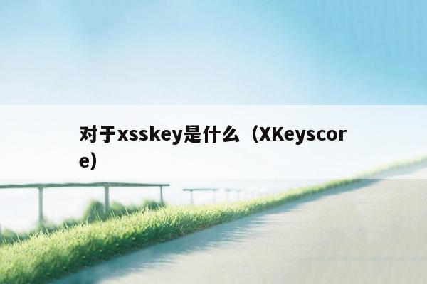对于xsskey是什么（XKeyscore）