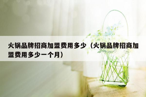 火锅品牌招商加盟费用多少（火锅品牌招商加盟费用多少一个月）