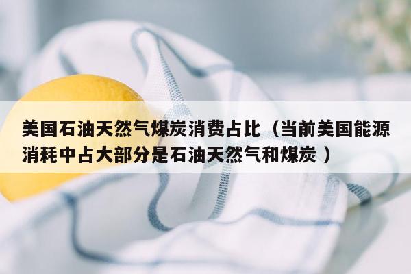 美国石油天然气煤炭消费占比（当前美国能源消耗中占大部分是石油天然气和煤炭 ）