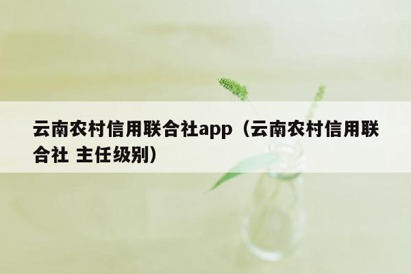 云南农村信用联合社app（云南农村信用联合社 主任级别）