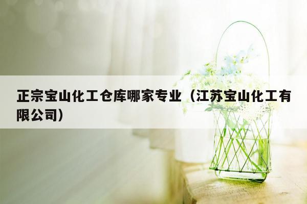 正宗宝山化工仓库哪家专业（江苏宝山化工有限公司）