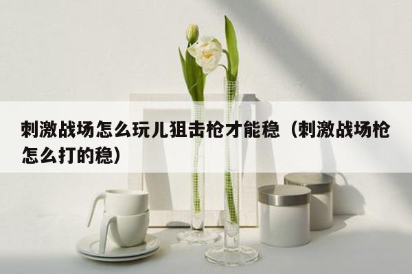 刺激战场怎么玩儿狙击枪才能稳（刺激战场枪怎么打的稳）