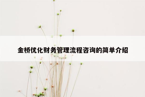 金桥优化财务管理流程咨询的简单介绍