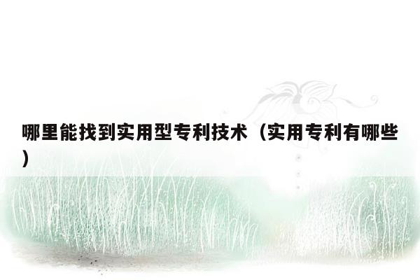 哪里能找到实用型专利技术（实用专利有哪些）