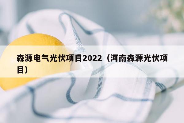 森源电气光伏项目2022（河南森源光伏项目）