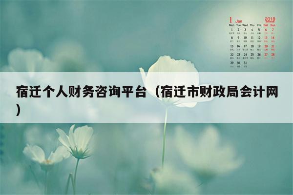 宿迁个人财务咨询平台（宿迁市财政局会计网）