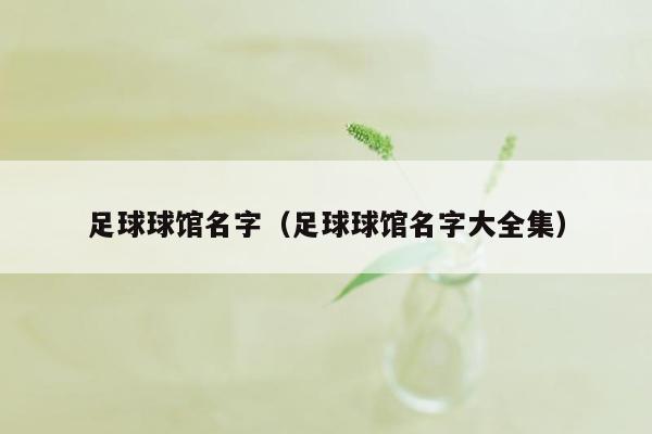 足球球馆名字（足球球馆名字大全集）