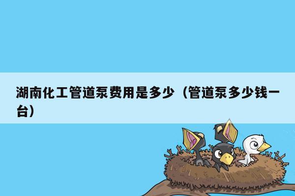 湖南化工管道泵费用是多少（管道泵多少钱一台）