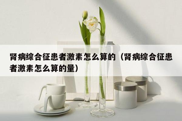 肾病综合征患者激素怎么算的（肾病综合征患者激素怎么算的量）
