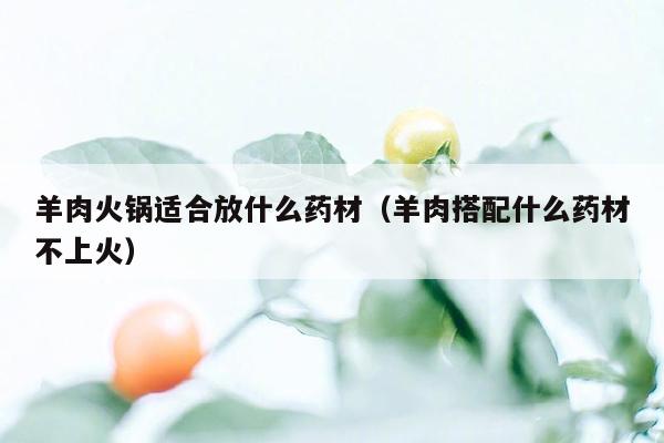 羊肉火锅适合放什么药材（羊肉搭配什么药材不上火）