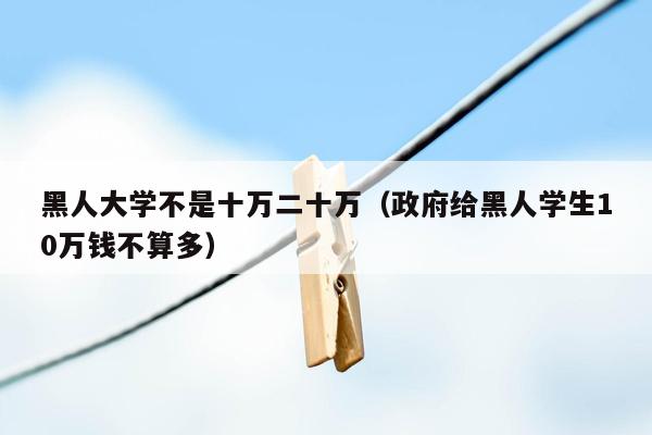 黑人大学不是十万二十万（政府给黑人学生10万钱不算多）