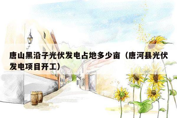 唐山黑沿子光伏发电占地多少亩（唐河县光伏发电项目开工）