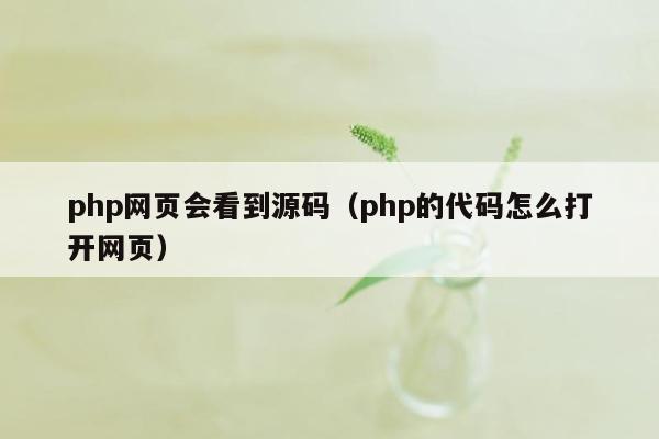 php网页会看到源码（php的代码怎么打开网页）