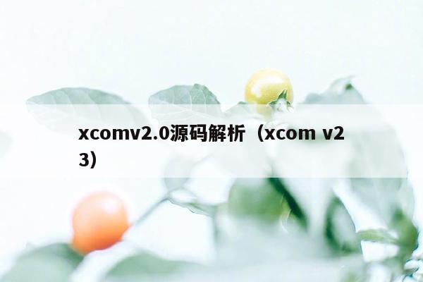 xcomv2.0源码解析（xcom v23）